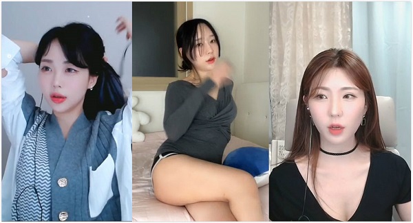 向日葵下载小猪app安装破解版截图