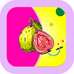 芭乐视频网站下载入口app v1.0