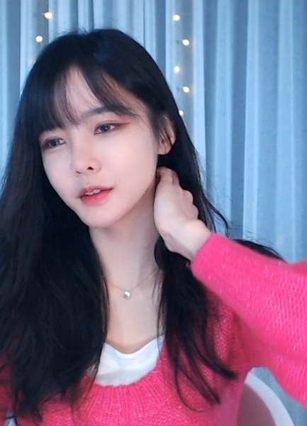 仙人掌app不能进安装