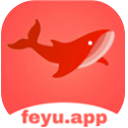 飞鱼影视app下载手机版  v1.3.4