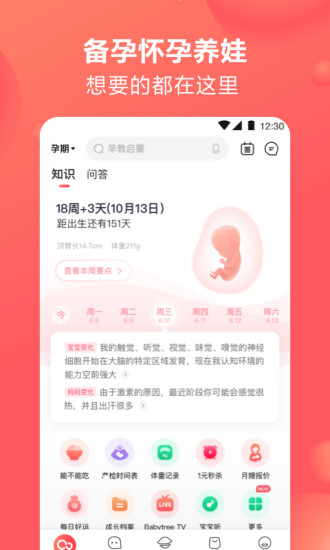 宝宝树孕育app下载安装