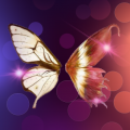 夜蝶app汅api免费安卓v18