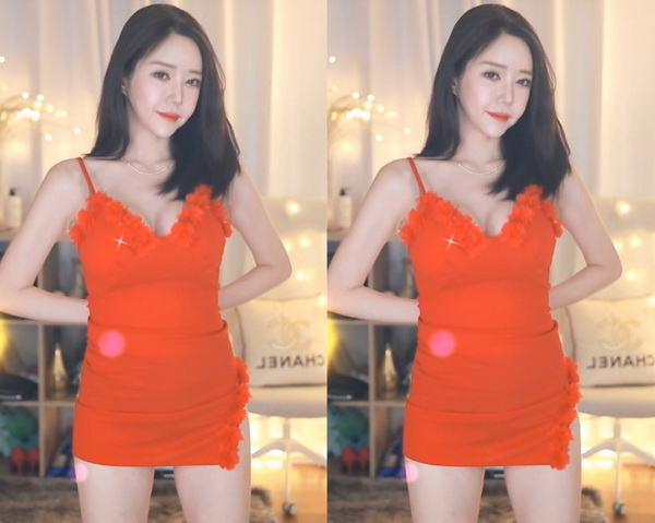 白毛毛上课系列bgm