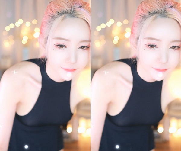 美国动物Zoom仙踪林