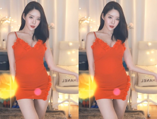 51大豆行情网仙踪林百度网盘