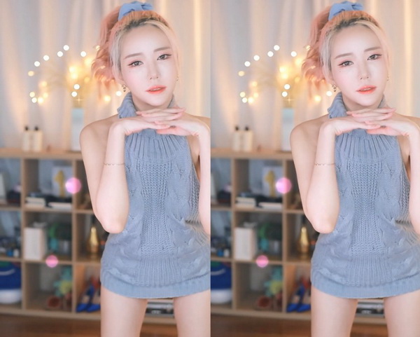 猫咪社区www在线资源