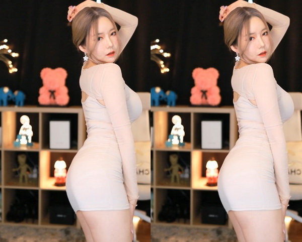 大大豆行情网仙踪林在线观看