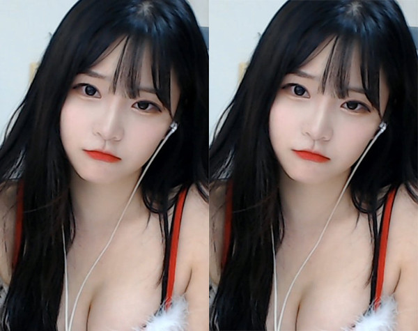 2022忘忧草wyc研究所