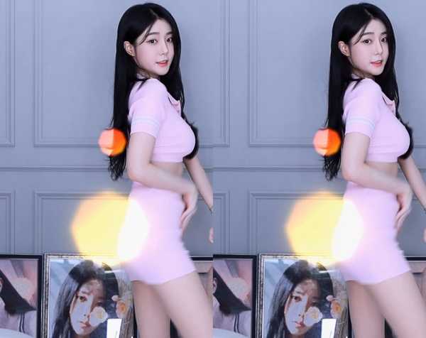 花蝴蝶免费版高清版