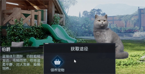 如何解锁黎明觉醒的宠物系统