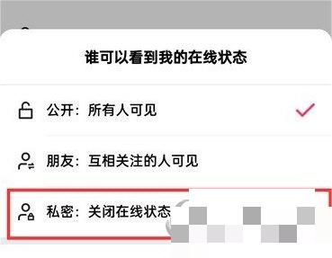 快手极速版怎么关闭在线状态