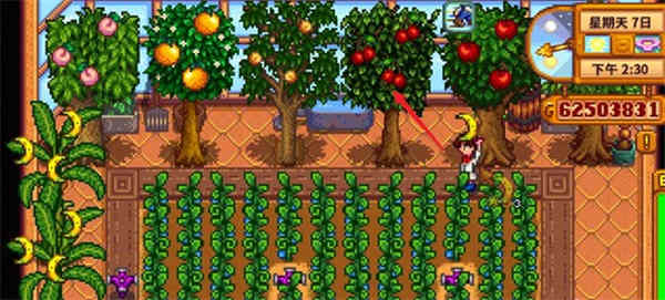 星露谷物语果酱怎么做?星露谷物语果酱制作攻略