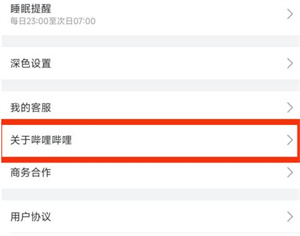 哔哩哔哩如何查看关于哔哩哔哩