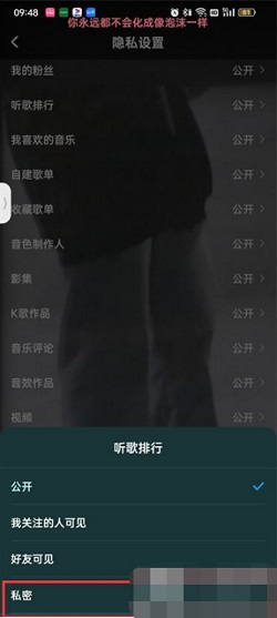 酷狗音乐怎么隐藏听歌排行榜