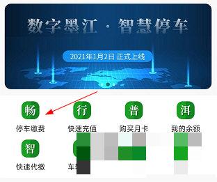 畅行普洱怎么缴费