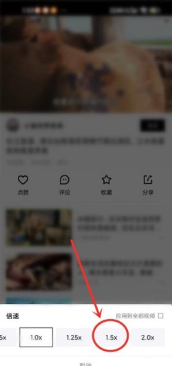 青桃怎么打开倍速播放