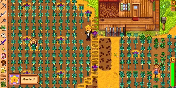 星露谷物语游戏中哪些植物性价比高