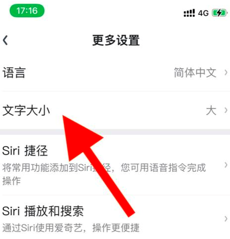 爱奇艺怎么设置文字大小