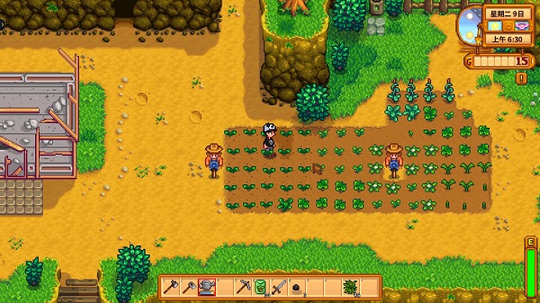 星露谷物语夏天熬汤放什么好