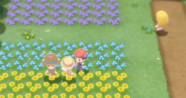 宝可梦晶灿钻石圆陆鲨如何获取?宝可梦晶灿钻石圆陆鲨获取攻略