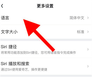 爱奇艺如何设置语言