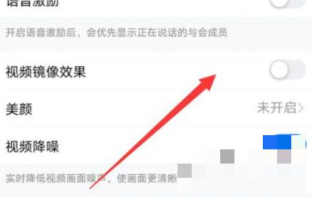 钉钉怎么开启视频镜像
