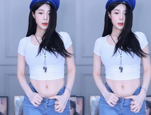 大象回家导航dxdy2023