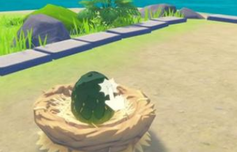 狩猎时刻宠物蛋要如何孵化