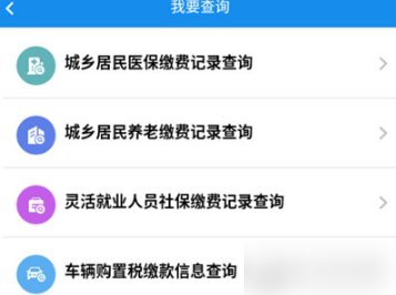 湖北楚税通怎么看养老保险