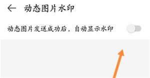 4399游戏盒如何设置动态图片水印