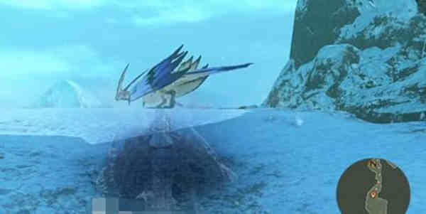 怪物猎人物语2风漂龙抓捕在哪里?怪物猎人物语2风漂龙抓捕攻略