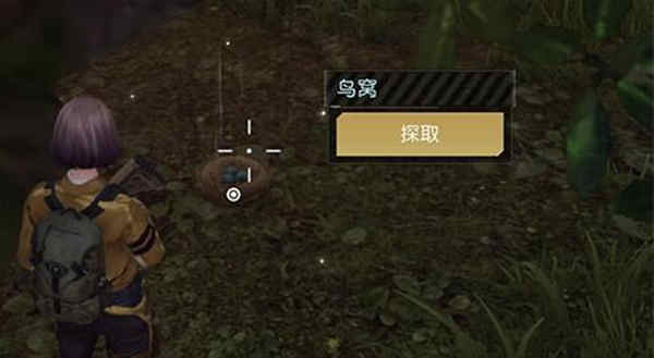 黎明觉醒鸟蛋怎么获得?黎明觉醒鸟蛋获取攻略