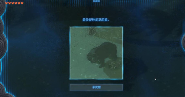 塞尔达传说王国之泪帝灰熊的布料怎么获得?塞尔达传说王国之泪帝灰熊的布料获取攻略