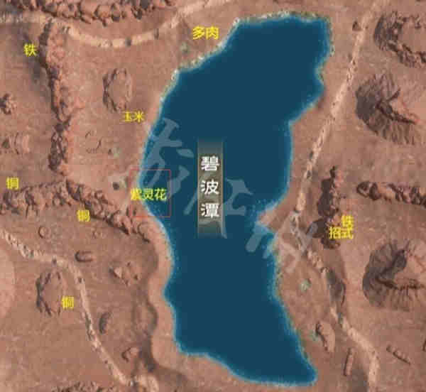 太荒初境紫灵花哪里采集?太荒初境紫灵花采集攻略