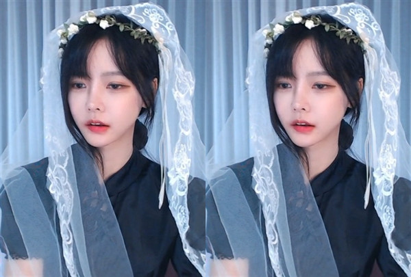 锵锵锵锵锵在线看视频