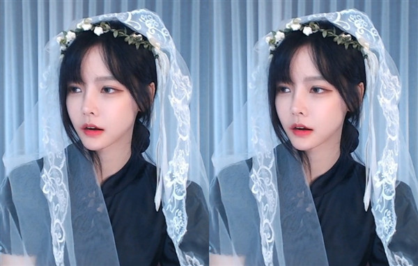 在线观看榴莲视频mv的免费网站