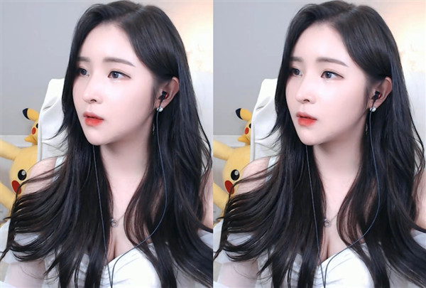 仙踪林首页入口大豆行情网