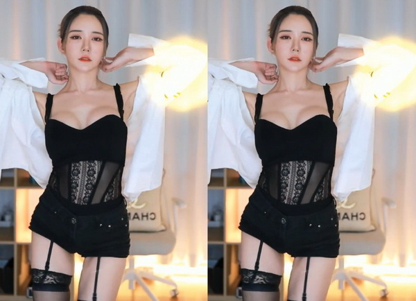 大菠萝导航2023app导入