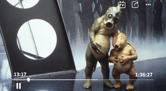 小小鸟在线观看免费6