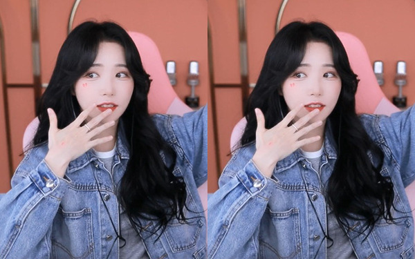 石榴榴莲丝瓜茄子向日葵大全