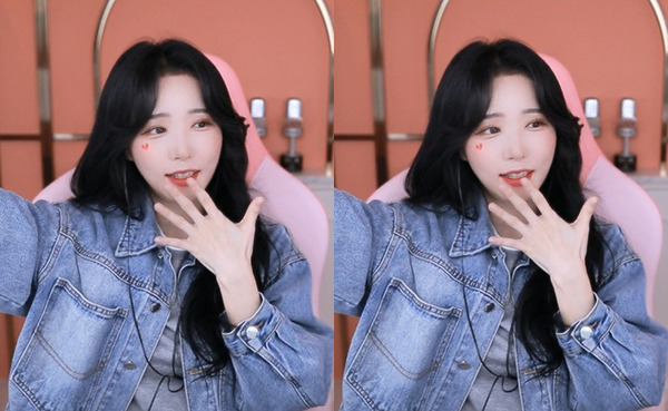 石榴榴莲丝瓜茄子向日葵大全