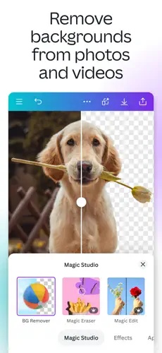 Canva5