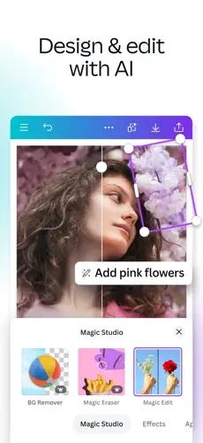 Canva4
